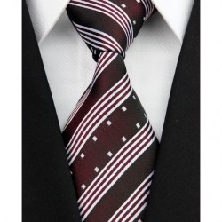 Hedvábná kravata NT0192