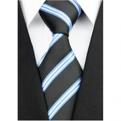 Hedvábná kravata NT0198