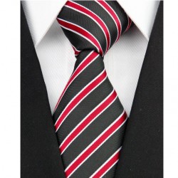Hedvábná kravata NT0205