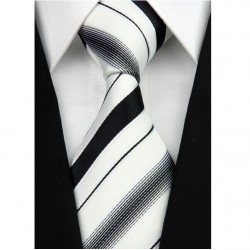 Hedvábná kravata NT0207