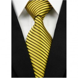 Hedvábná kravata NT0243