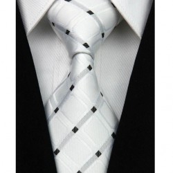 Hedvábná kravata NT0029