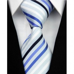 Hedvábná kravata NT0035